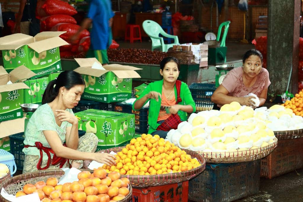 Abundant Fresh Produce