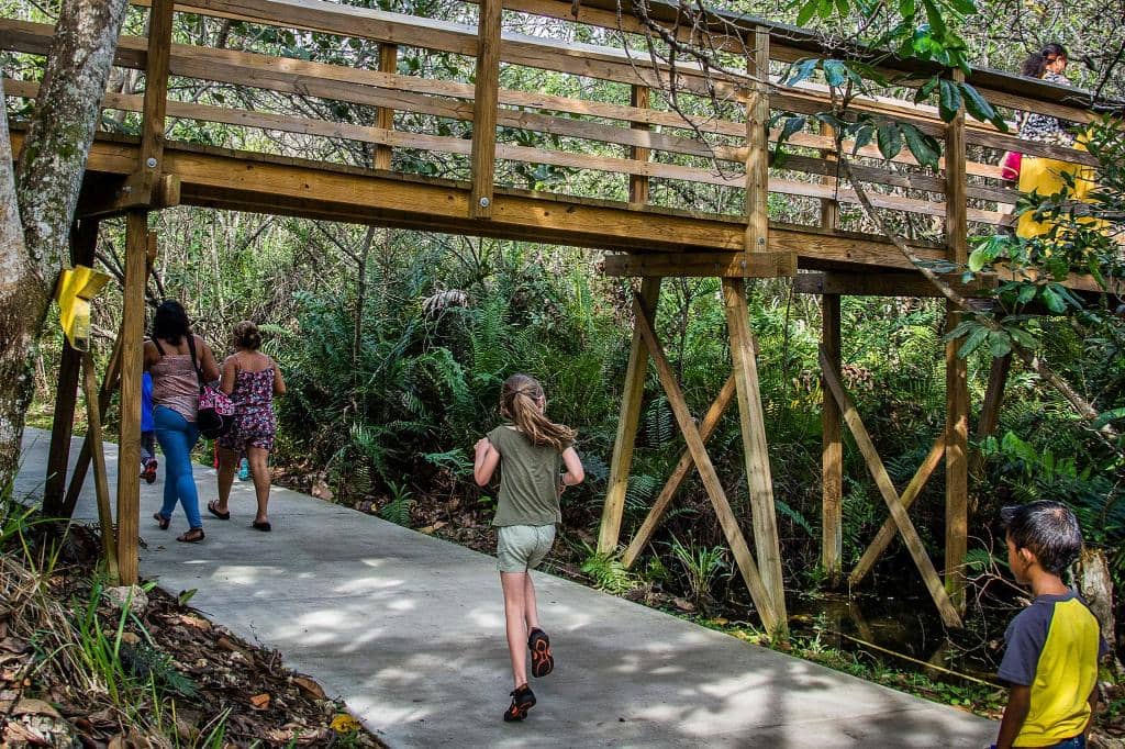 Nature Trail & Wildlife Viewing