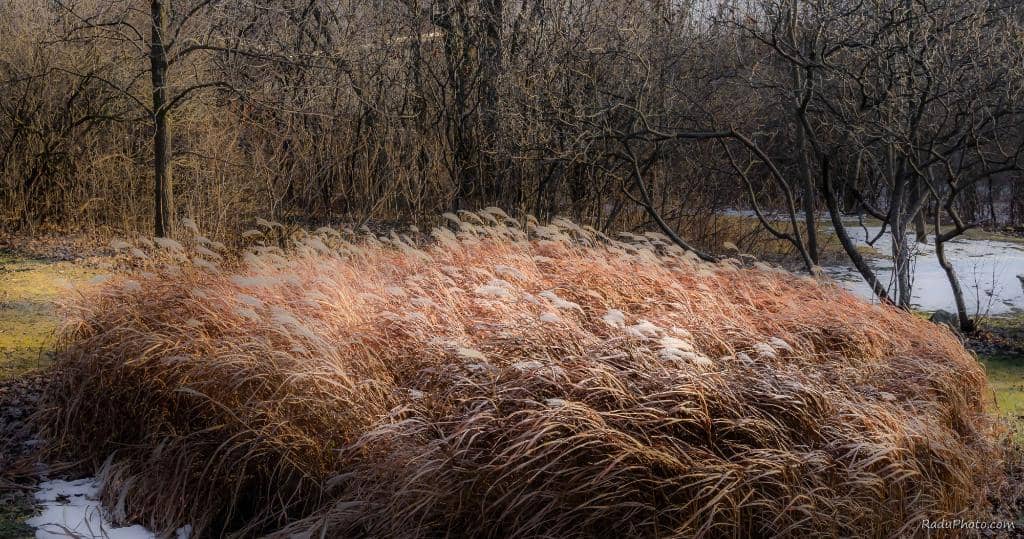 Forest Trails for Hiking & Biking