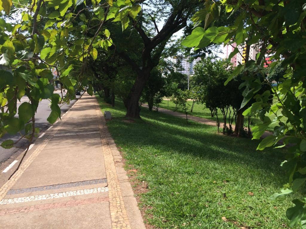 Family & Pet-Friendly Fun