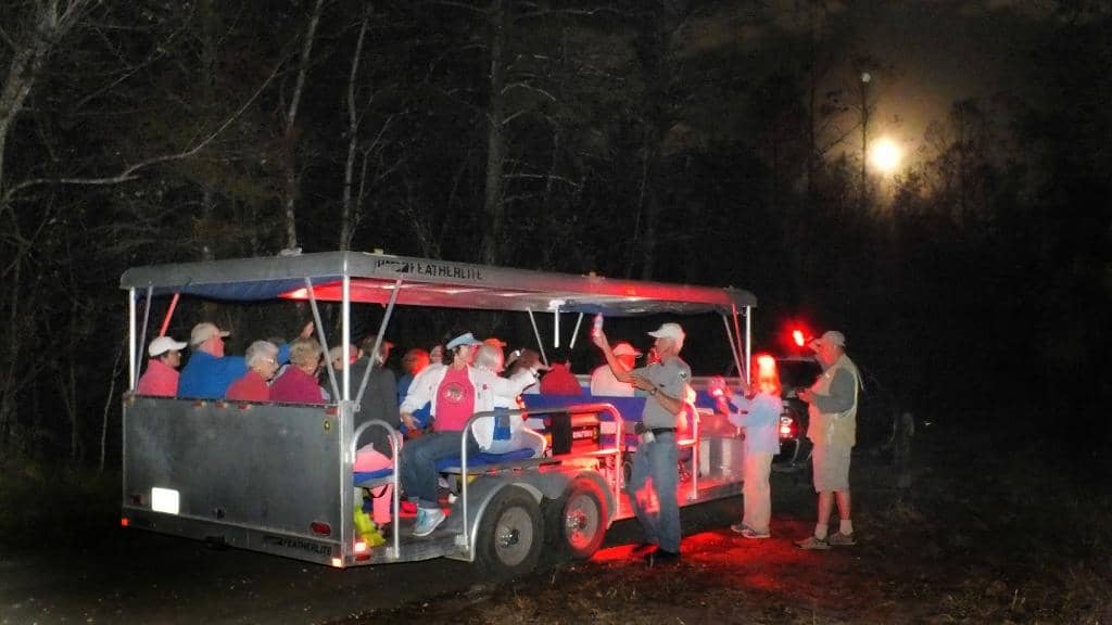 Ghost Orchid Habitat