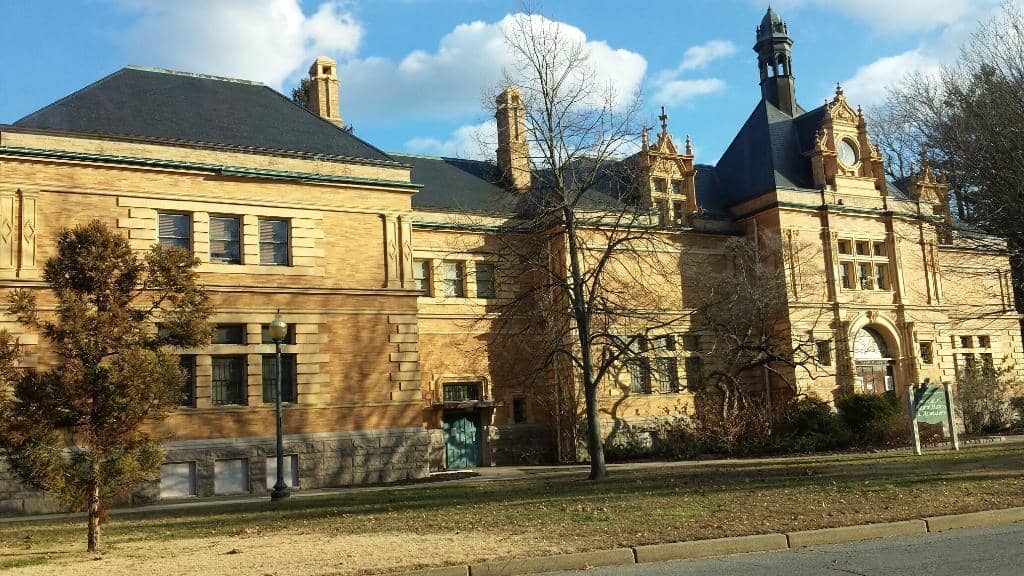 Taxidermy Collection