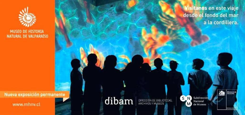 Interactive Exhibits