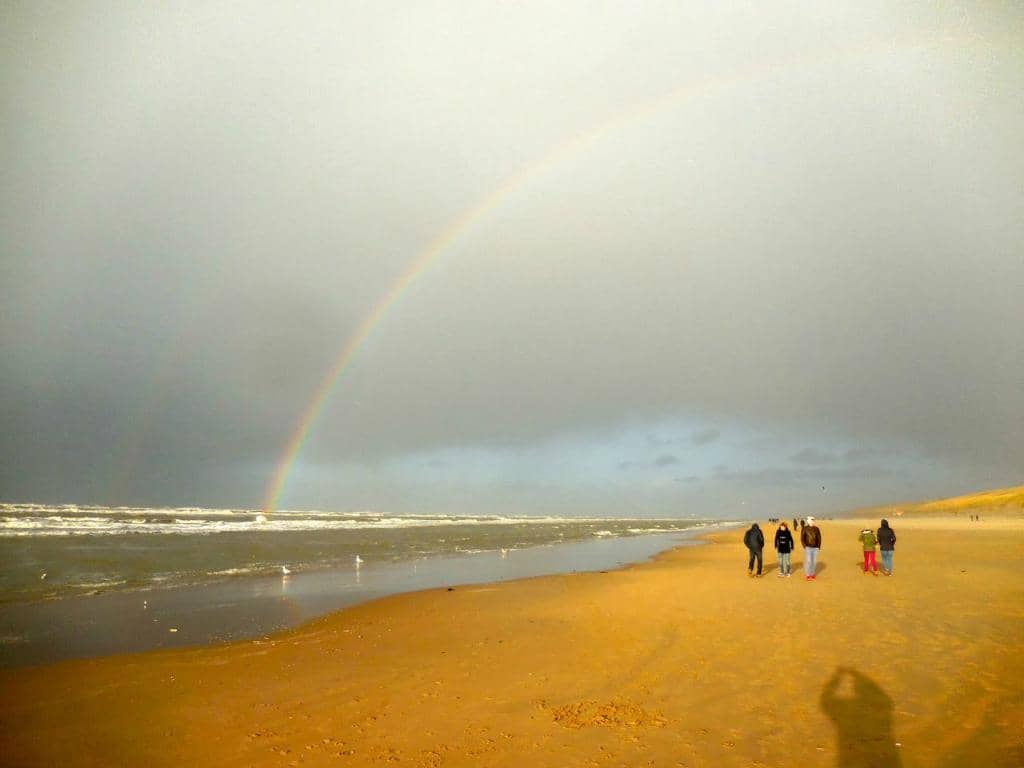 Paragliding and Speedflying