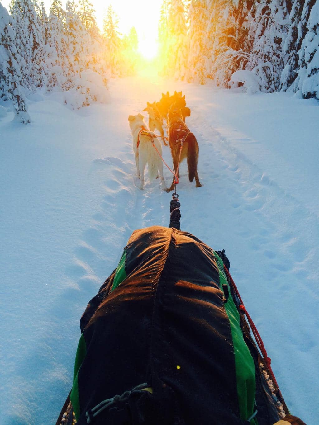 Campfire & Hot Drinks