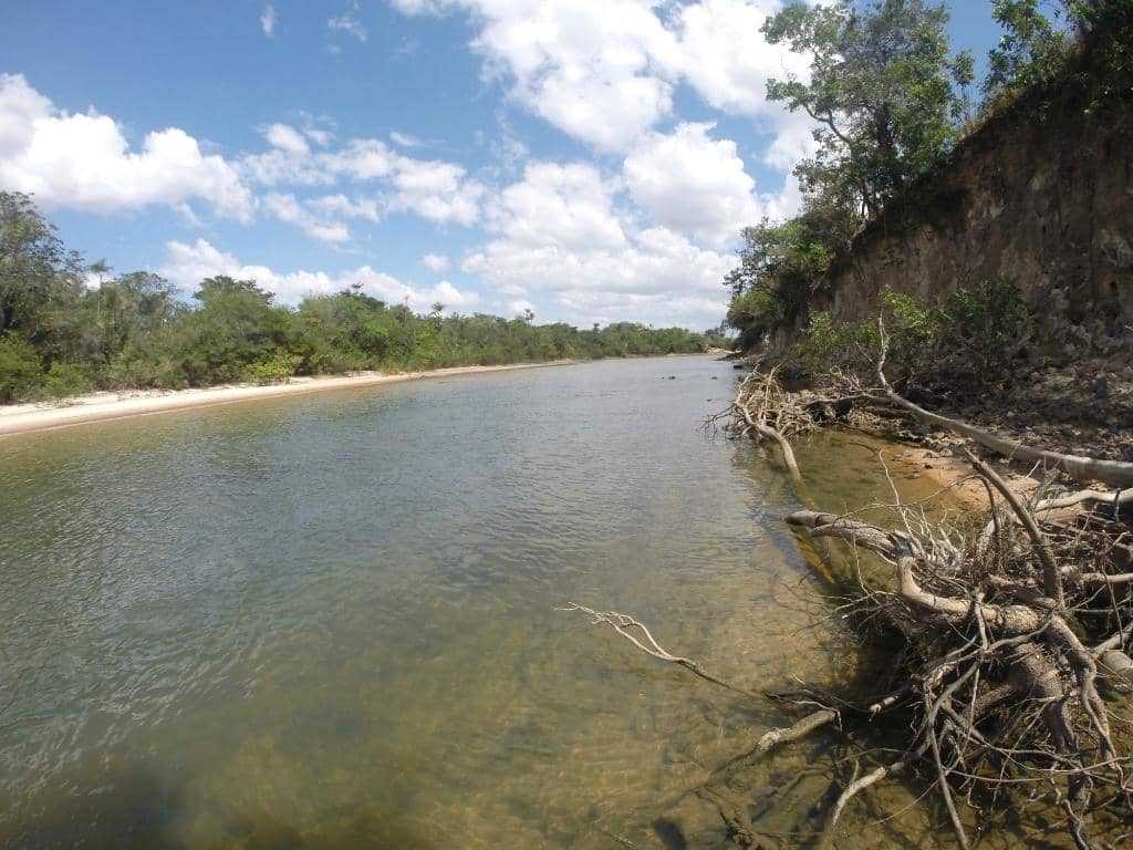 Local Gathering Spot