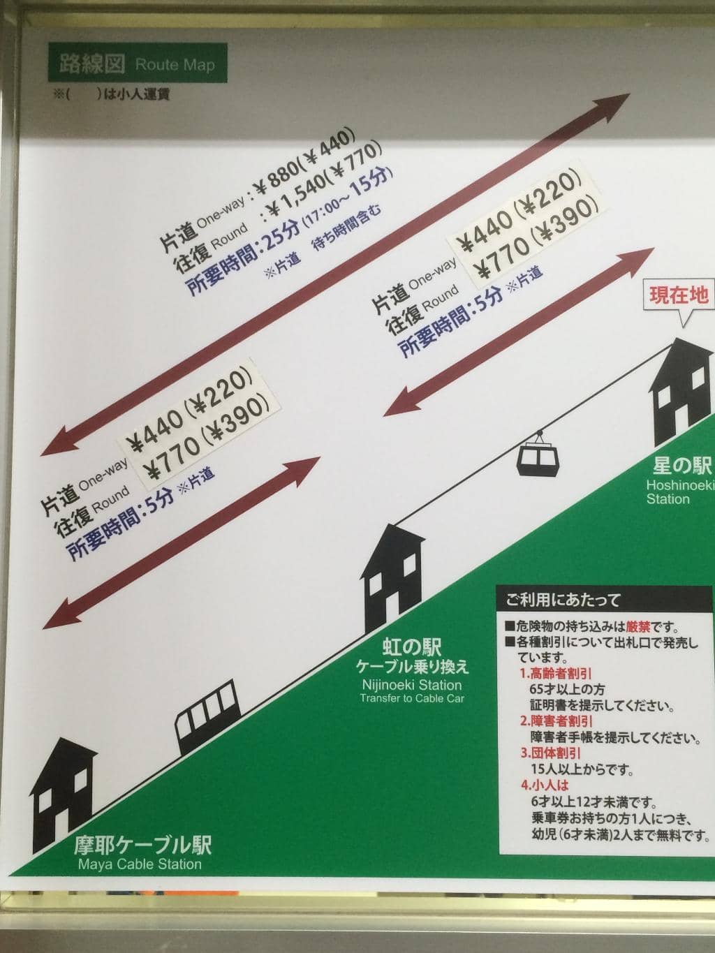 Luminous Night Paths