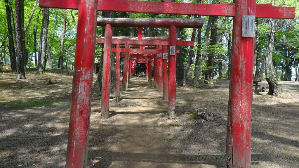Vertical photo