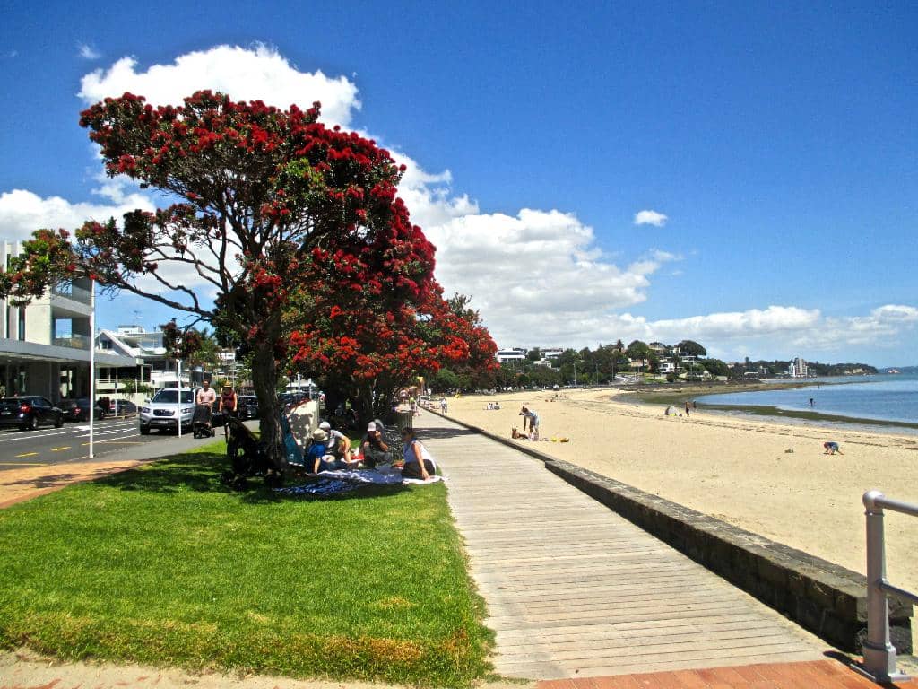 St Heliers to Mission Bay Coastal Path