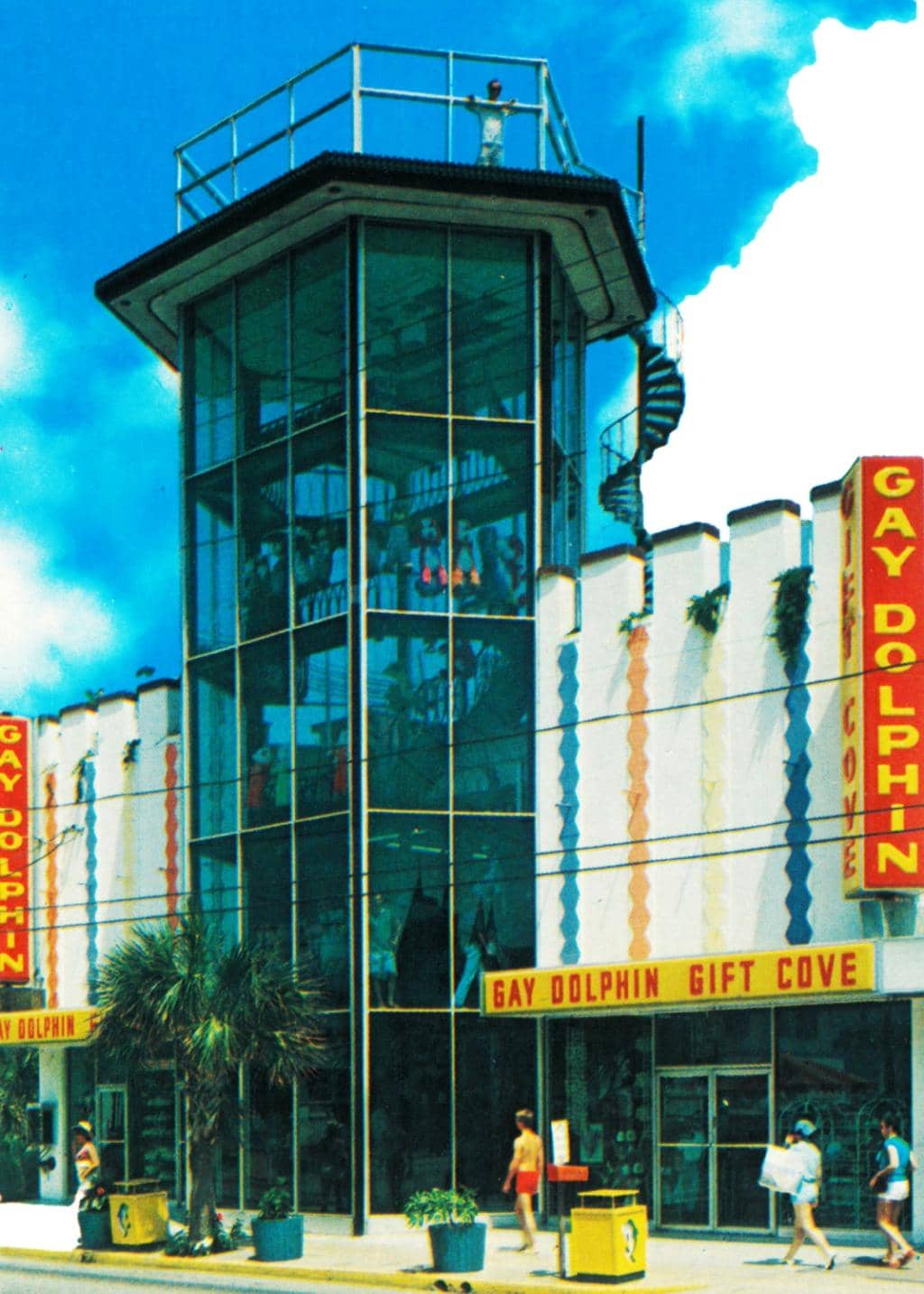 Shark Teeth & Seashells