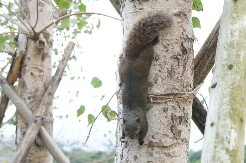 Scenic Paths for Strolling & Biking