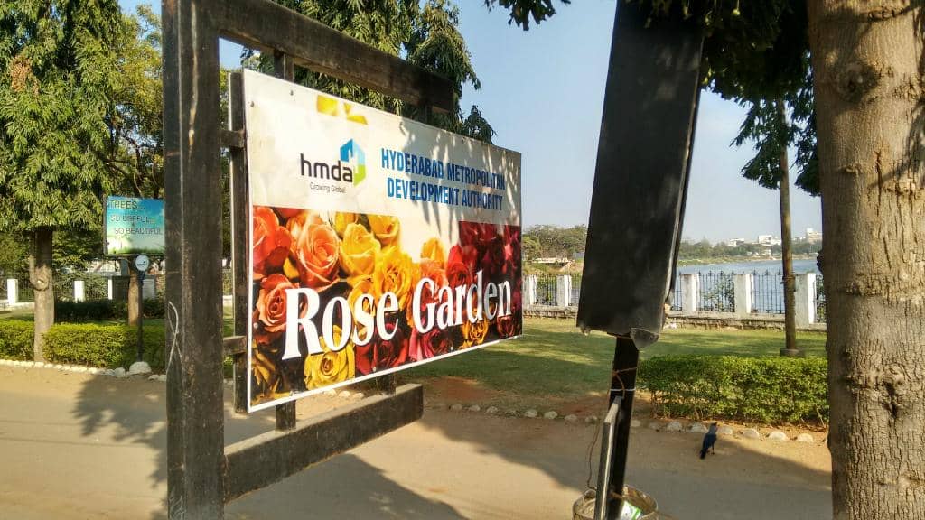 Children's Play Area