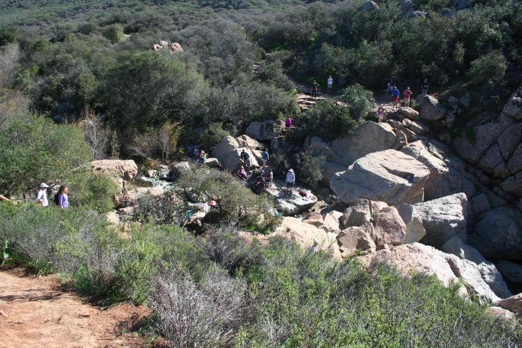 Diverse Trail Network