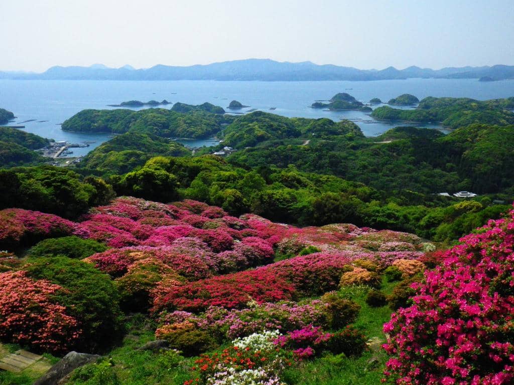 Panoramic Island Views