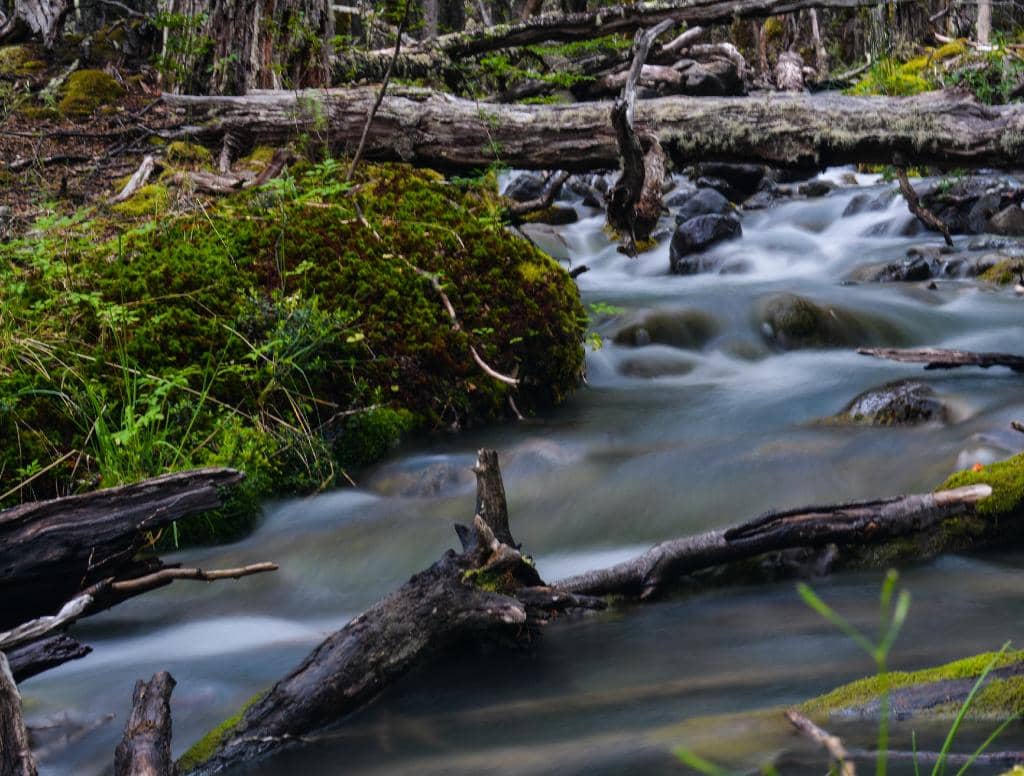 Huemul Glacier Viewpoint