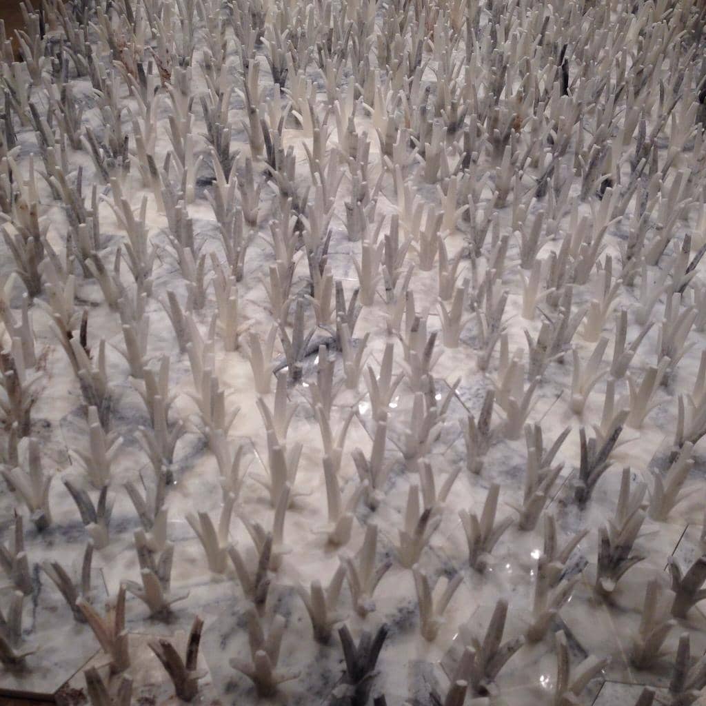 Rotating Art Exhibitions