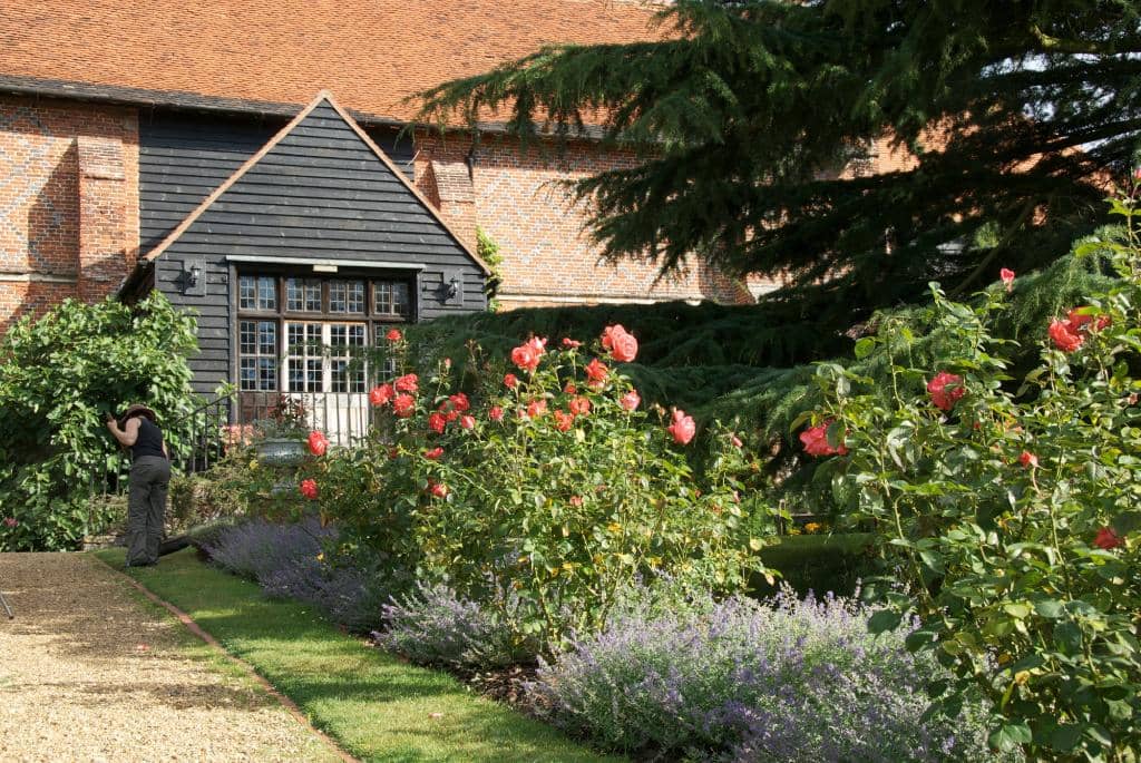 Doll's House Display