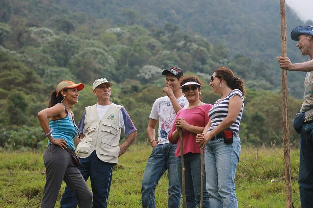 Lush Cloud Forest Canyon