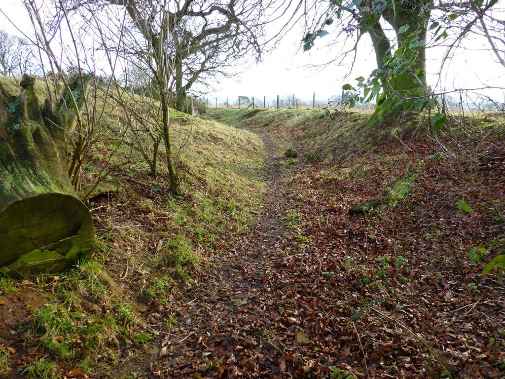 Panoramic Daventry Views