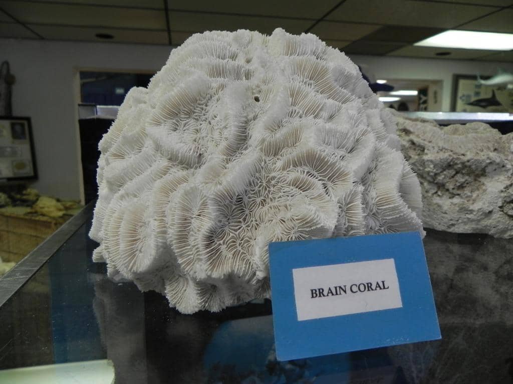 Working Waterfront Tour