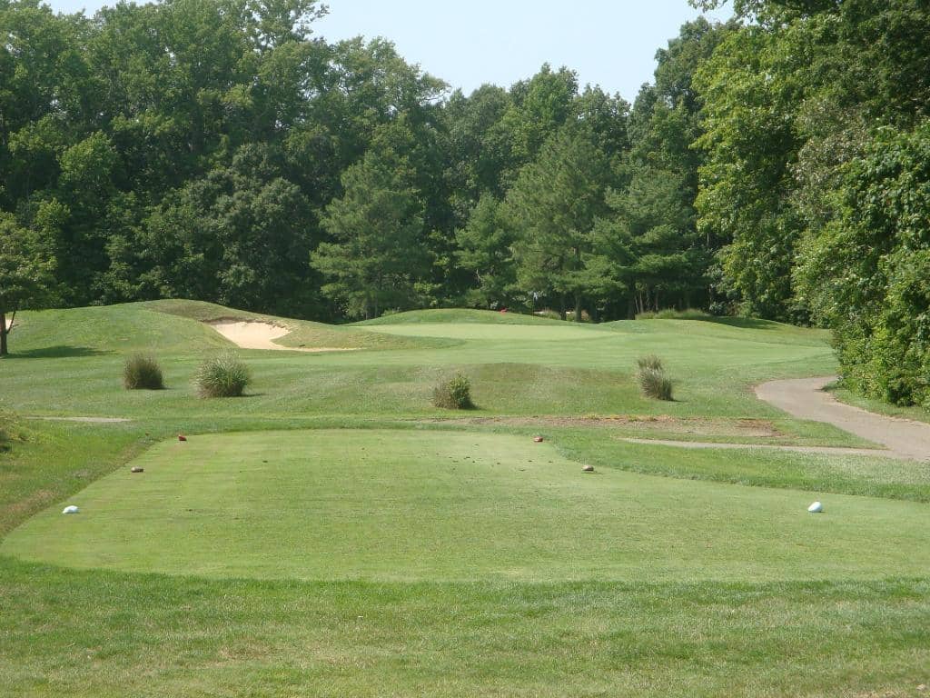 Friendly and Accommodating Staff