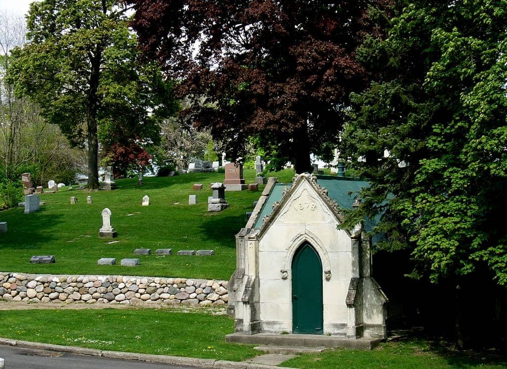 Rolling Hills Landscape