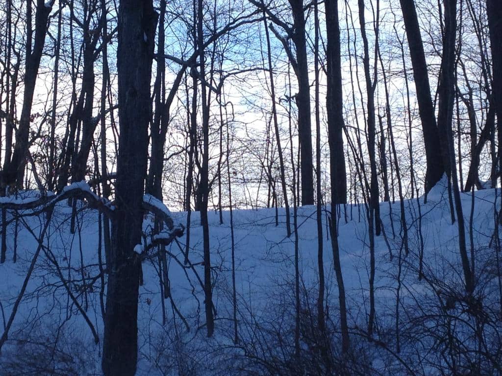 Scenic Hiking Trails