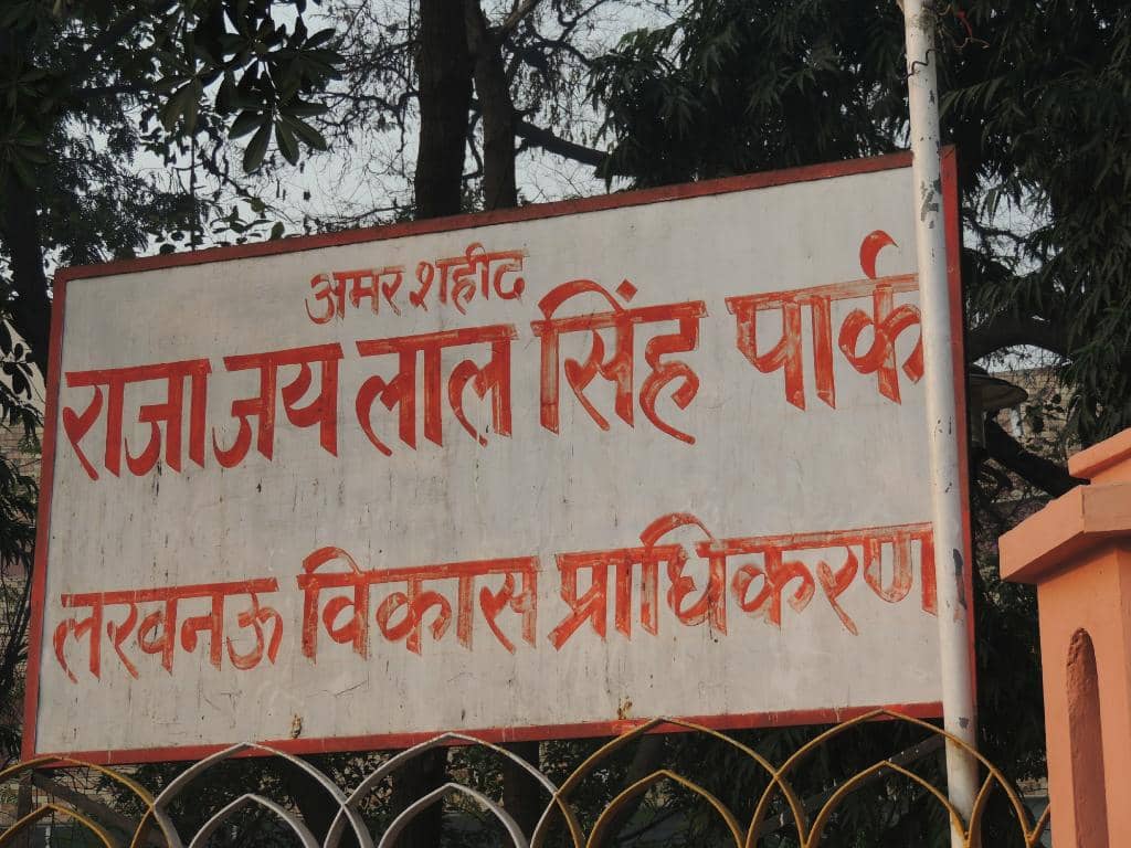 Street Food Paradise