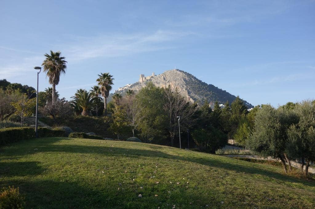 Panoramic City Views