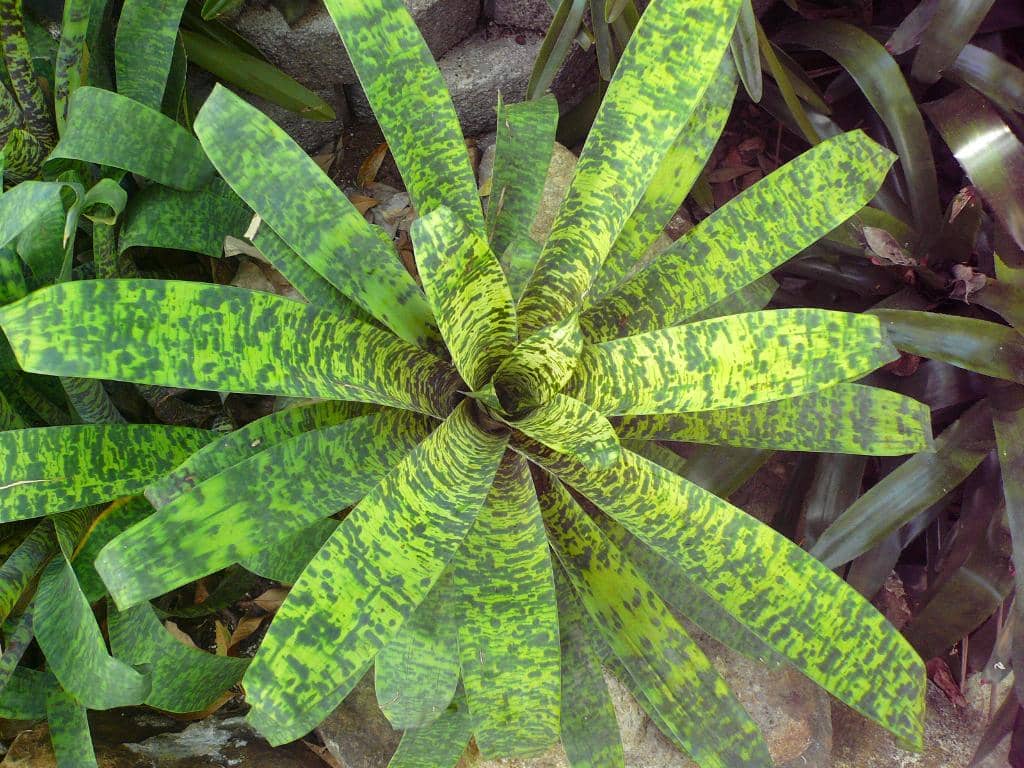 Local Wildlife Encounters