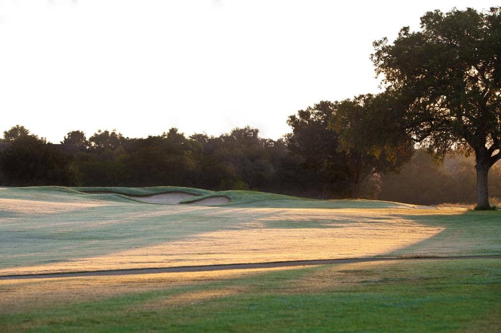 Comal Springs Scenery