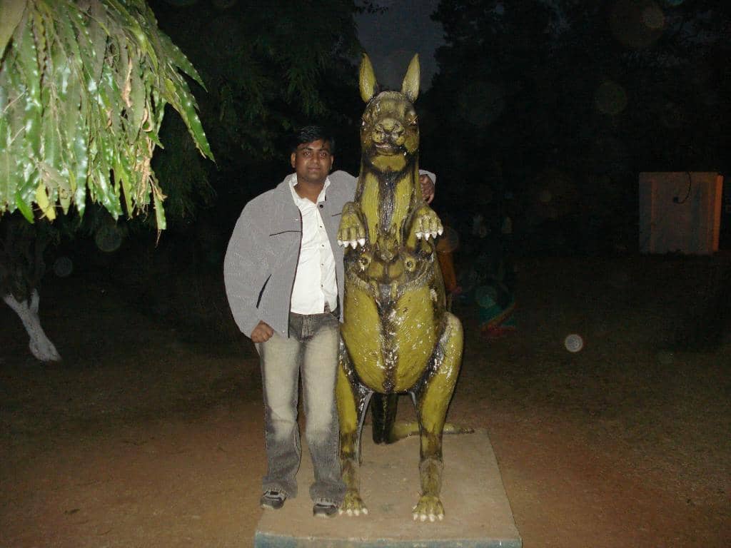 Wildlife Encounters