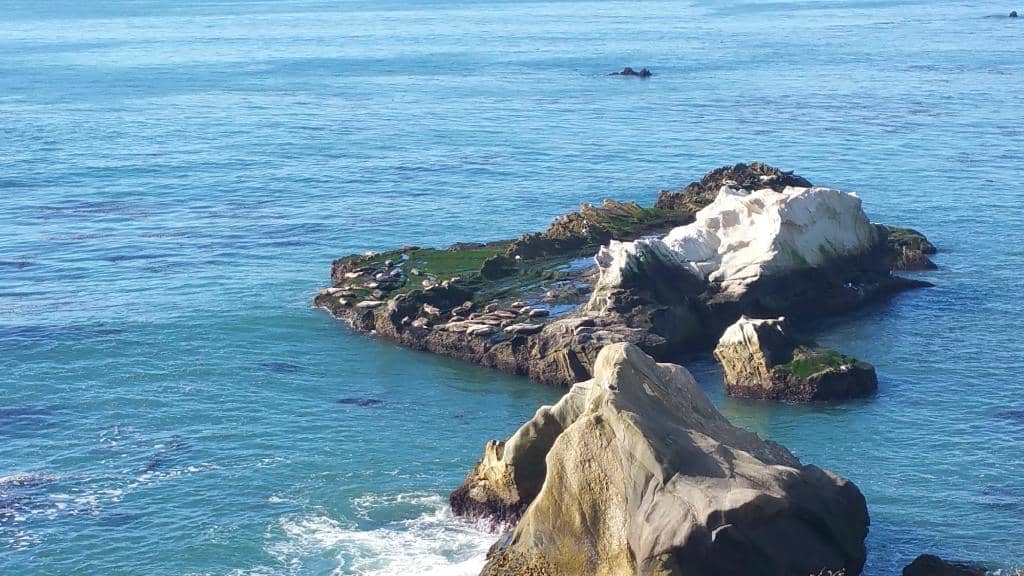 Beach Access & Tidepools