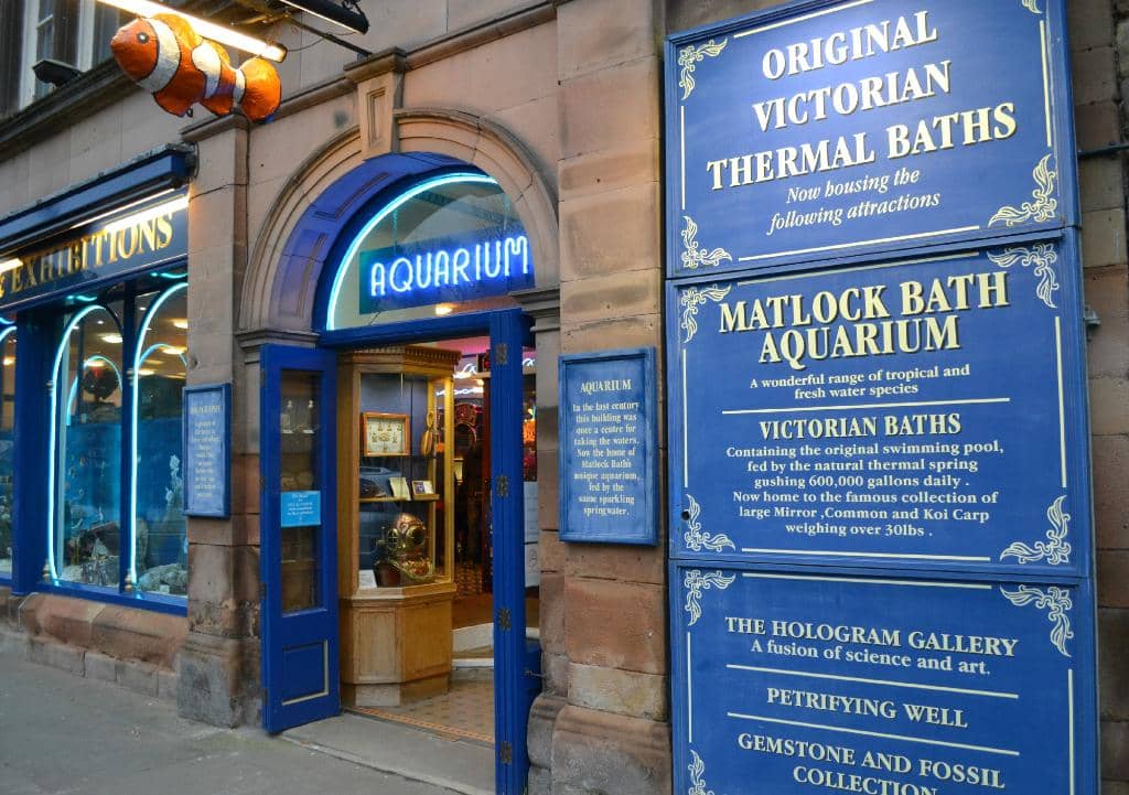 The Aquarium's Carp Pool