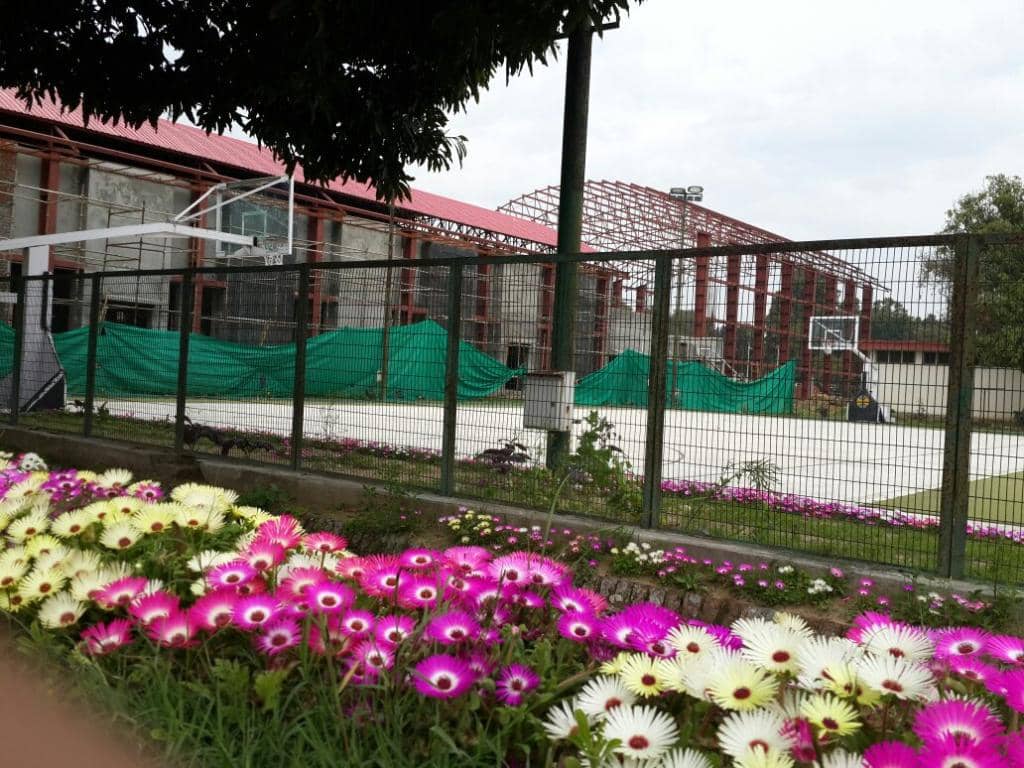 Legendary Athlete Tributes