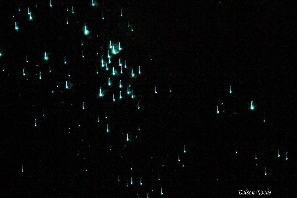 Scenic Drive to Newnes