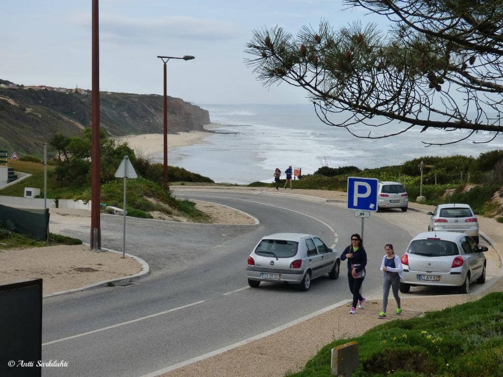 Scenic Dune Promenade