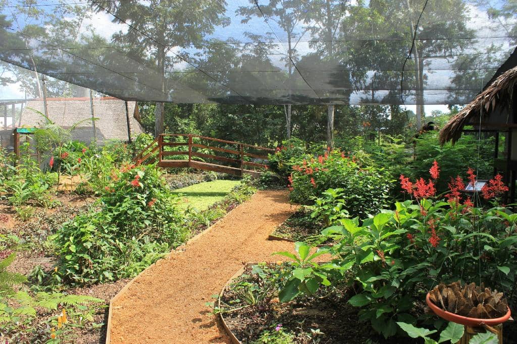 Educational Experience