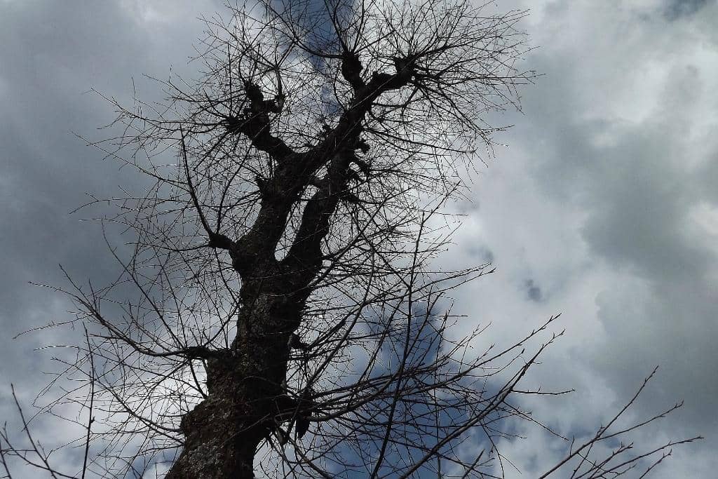 Lidder River Serenity