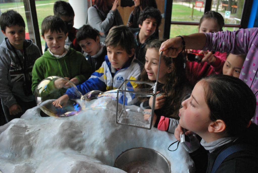 Live Theatrical Shows