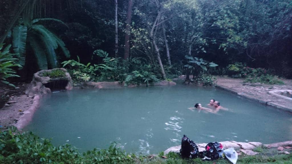Delicious Omelets and Tilapia