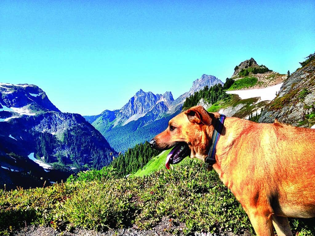 Scenic Beach Views (WA)