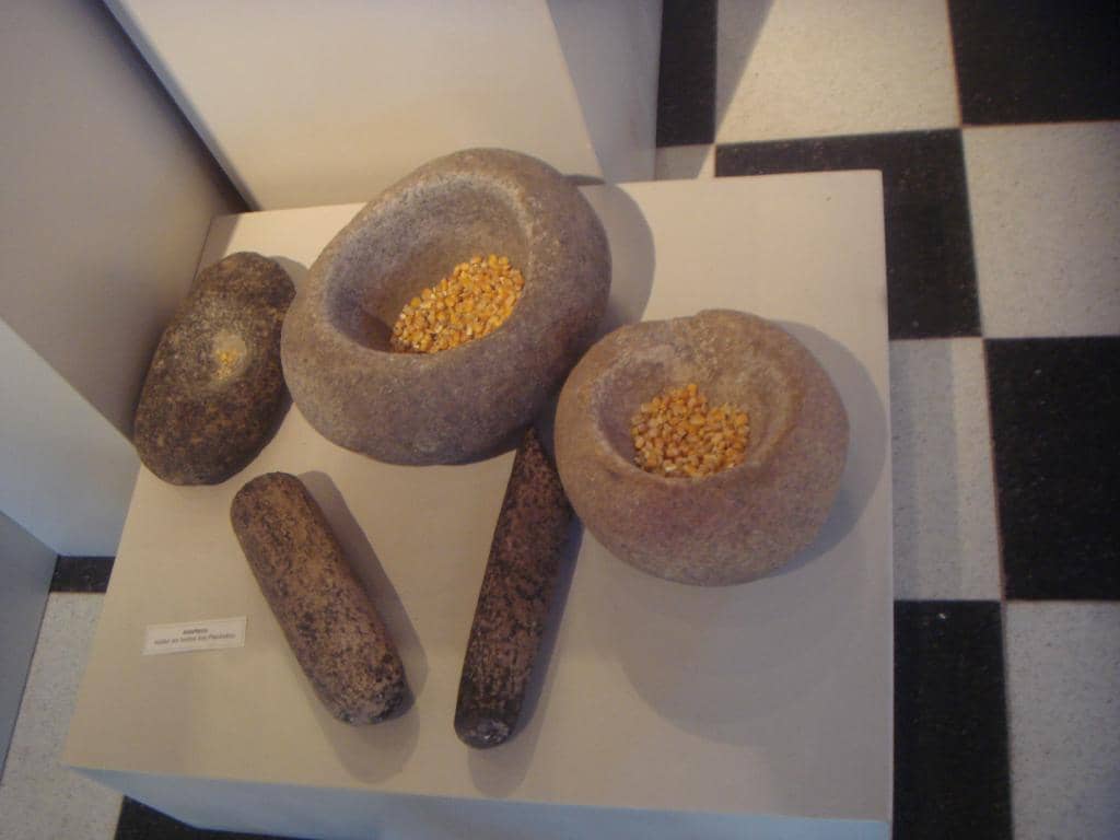 Parque Estancia La Quinta