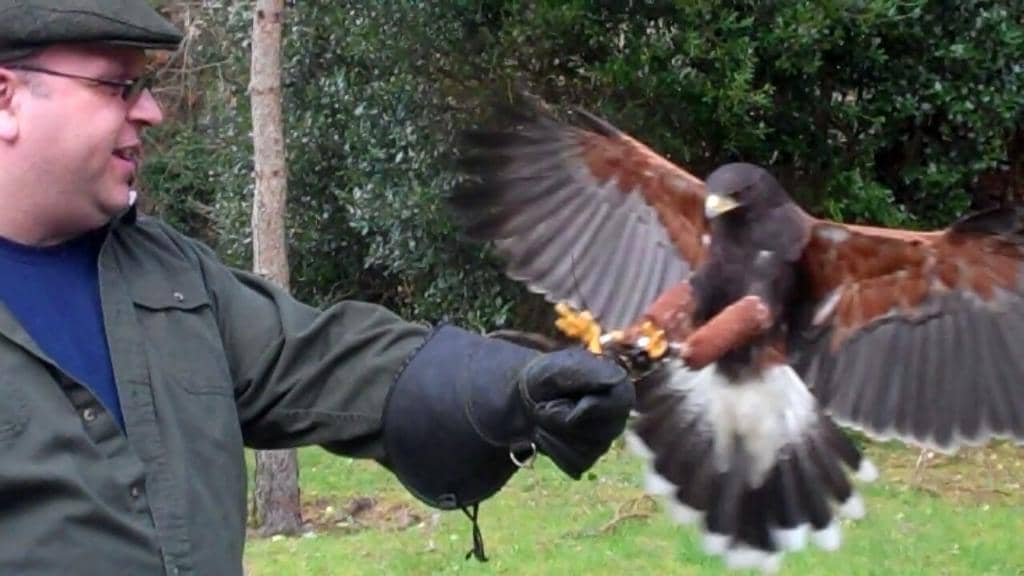 Ashford Castle Setting