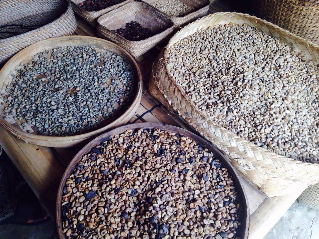 Luwak Coffee Tasting