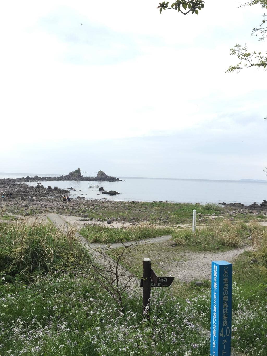 Mitsuishi Rocks Up Close