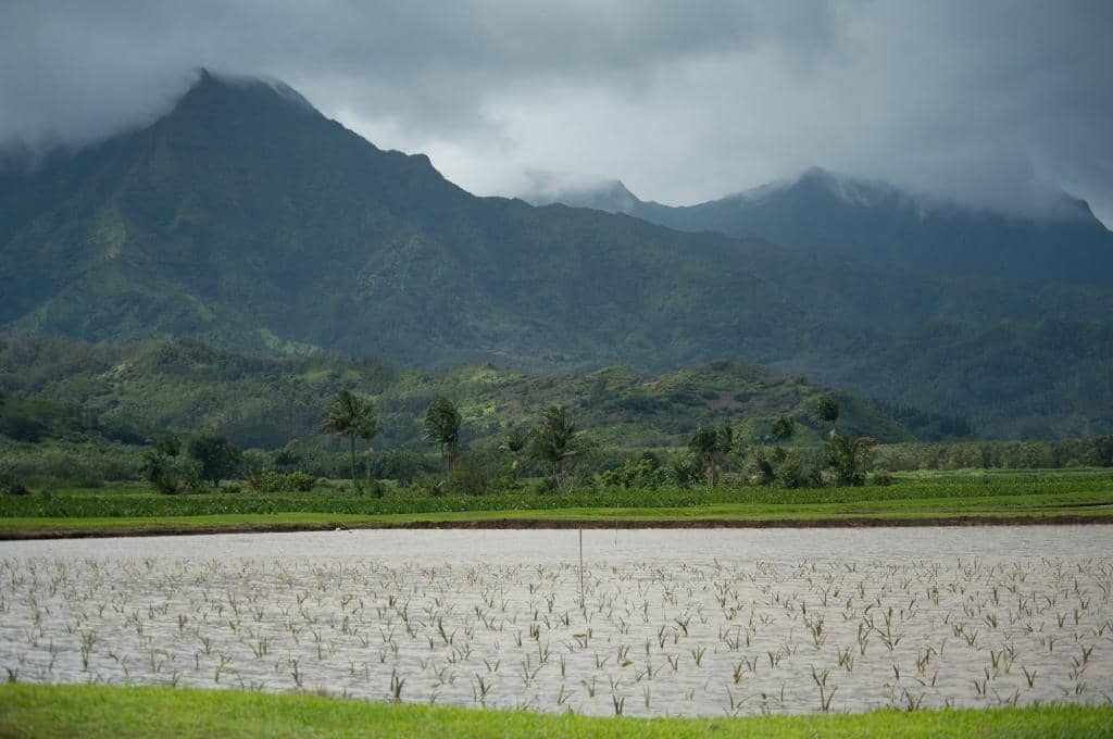 Jurassic Park & Raiders of the Lost Ark Filming Sites