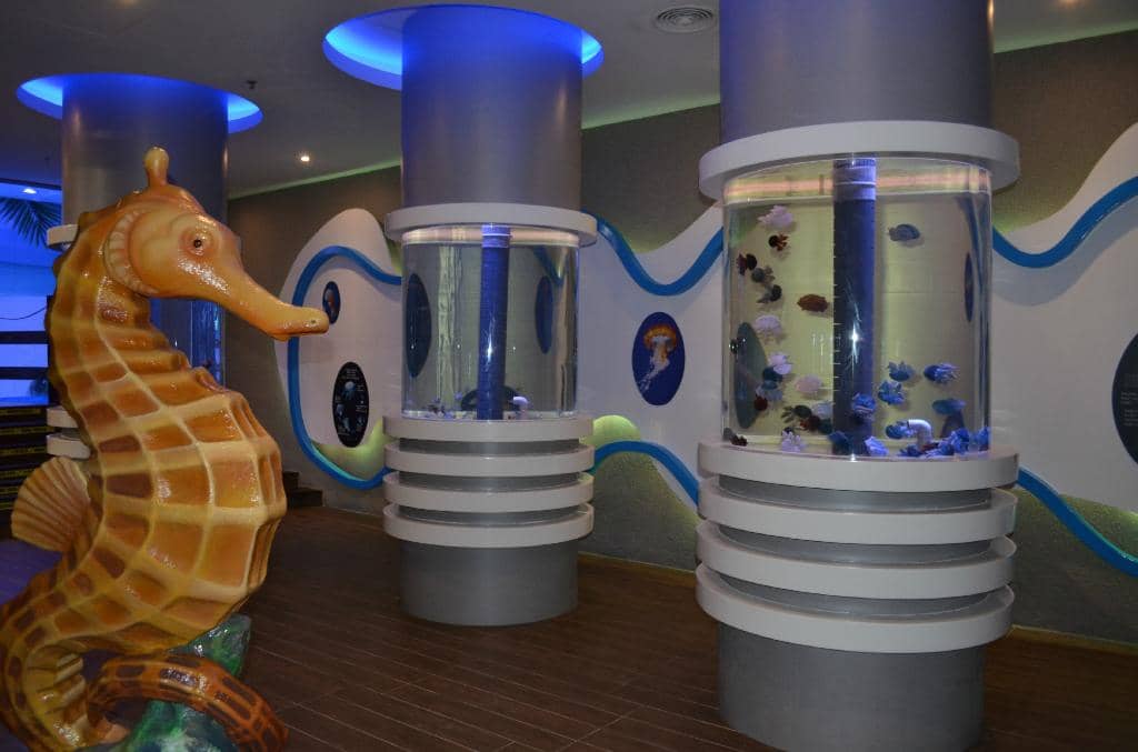 Interactive Exhibits