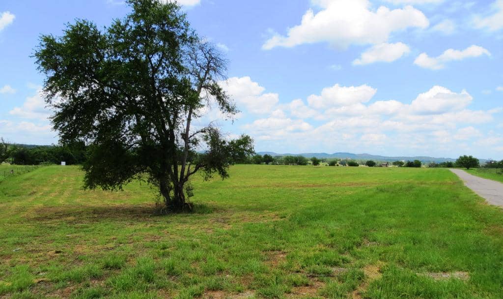 Colorado River Views