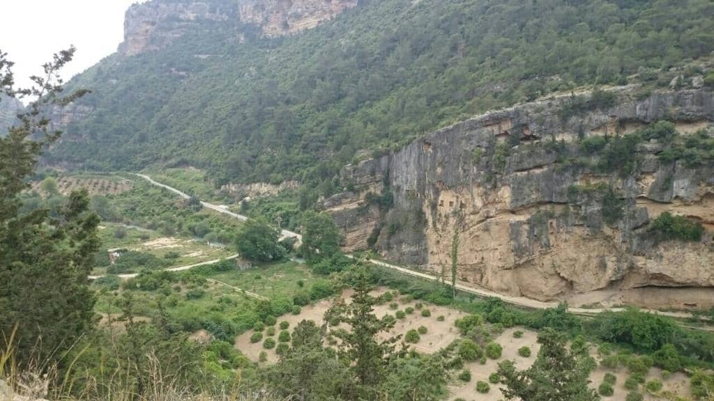 Refreshing Summer Waters